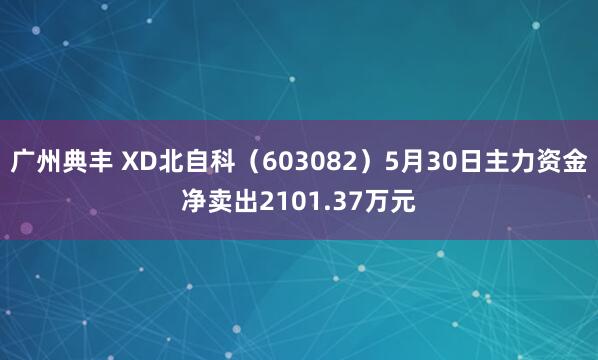 广州典丰 XD北自科（603082）5月30日主力资金净卖出2101.37万元