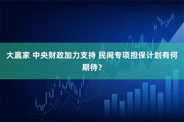 大赢家 中央财政加力支持 民间专项担保计划有何期待？